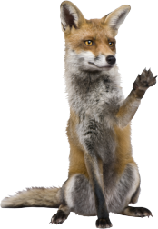 Aussendienst Mitarbeiter bei Zahnarzt Ludwigsfelde Dr. Fuchs